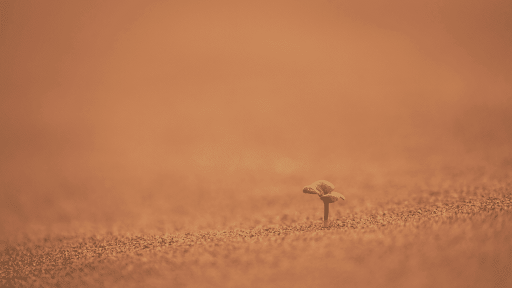 It’s the little things… ✨