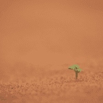 It’s the little things… ✨