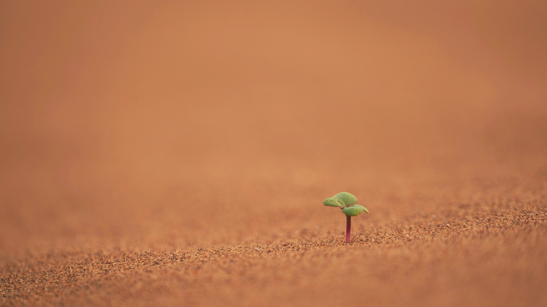 It’s the little things… ✨