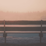 Why Patience is One of the Four Pillars of Success