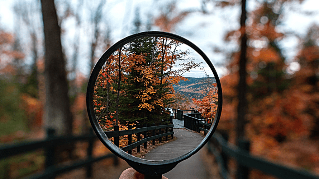 Don’t major in the minor ?