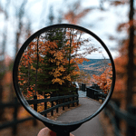 Don’t major in the minor ?