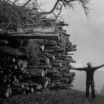 Pick up your ax and chop wood ?