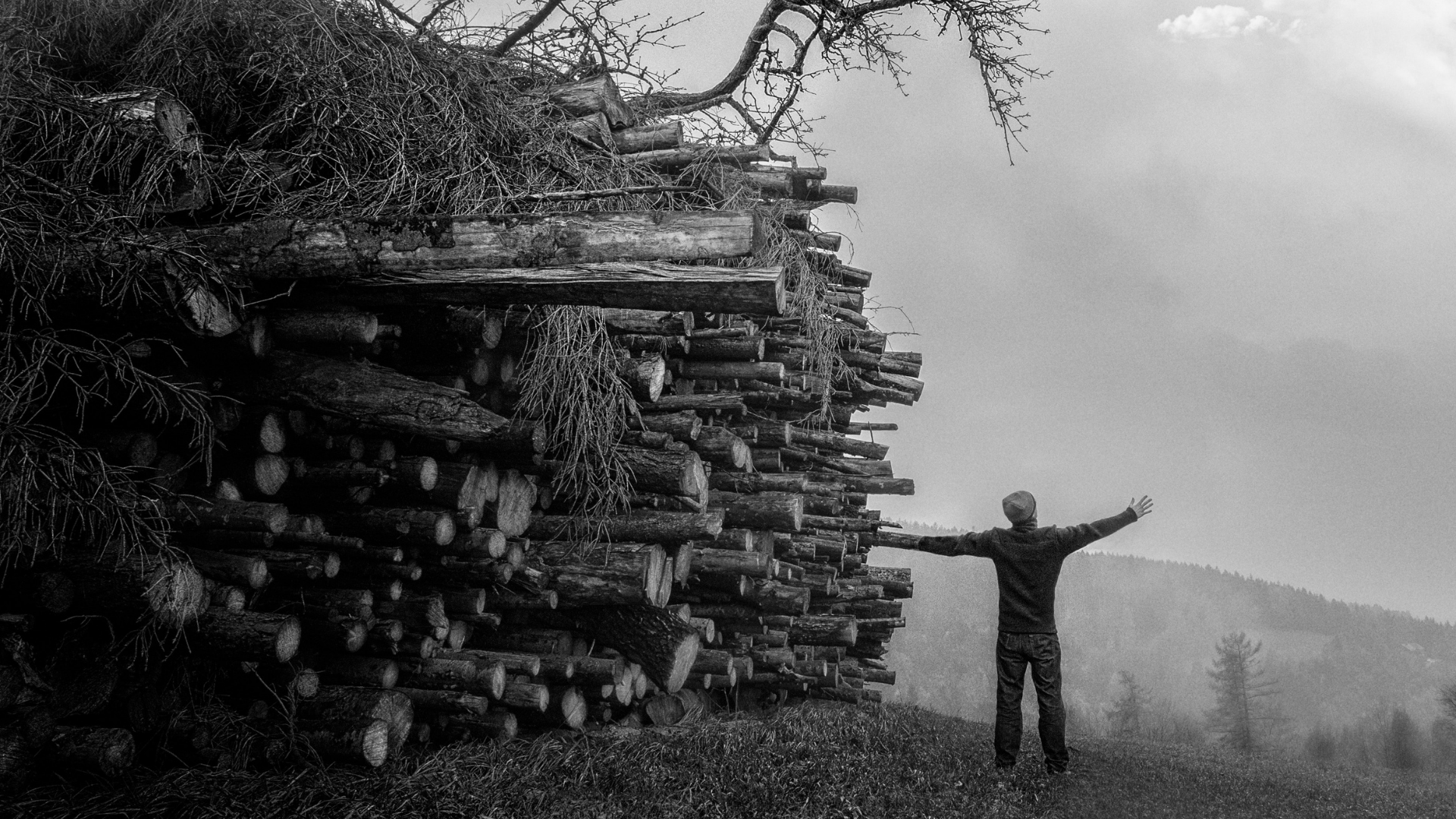 Pick up your ax and chop wood ?