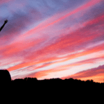 Every human has a calling. Don't run from it.