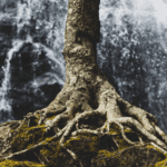 3 Things Mentally Strong People Don’t Do ?