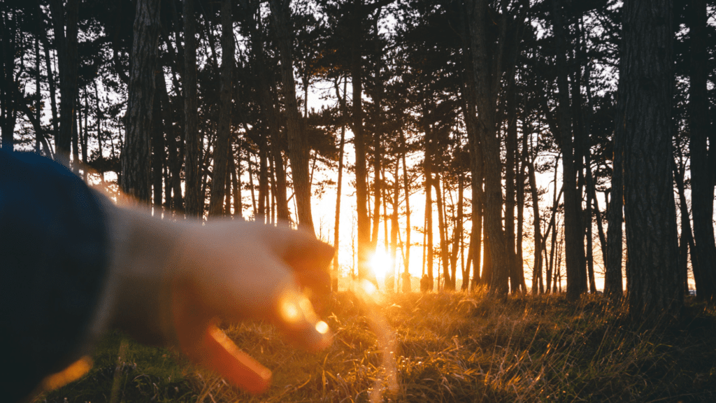 3 Tools for Creating Good Habits￼