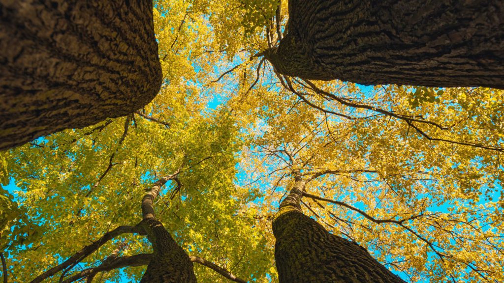 Lessons for Self Growth ??