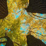 Lessons for Self Growth ??