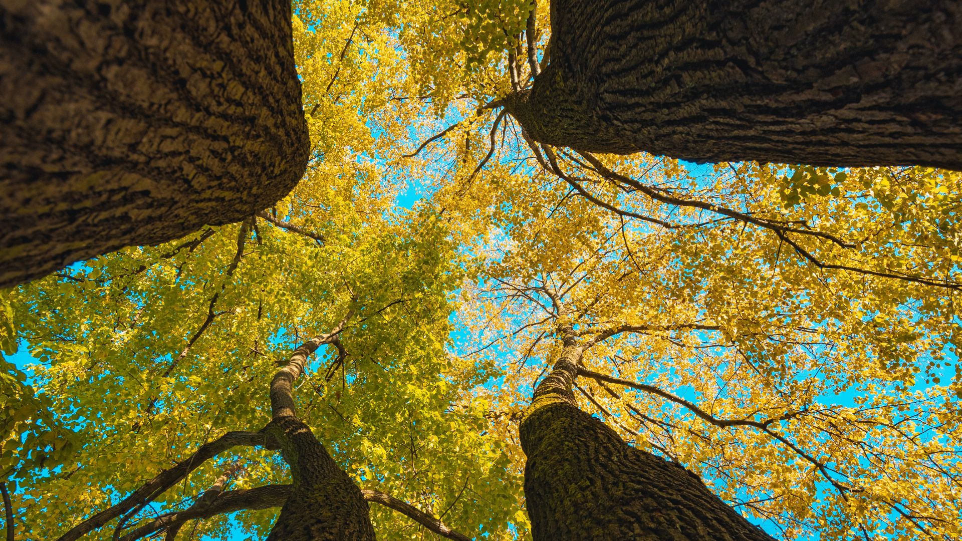 Lessons for Self Growth ??