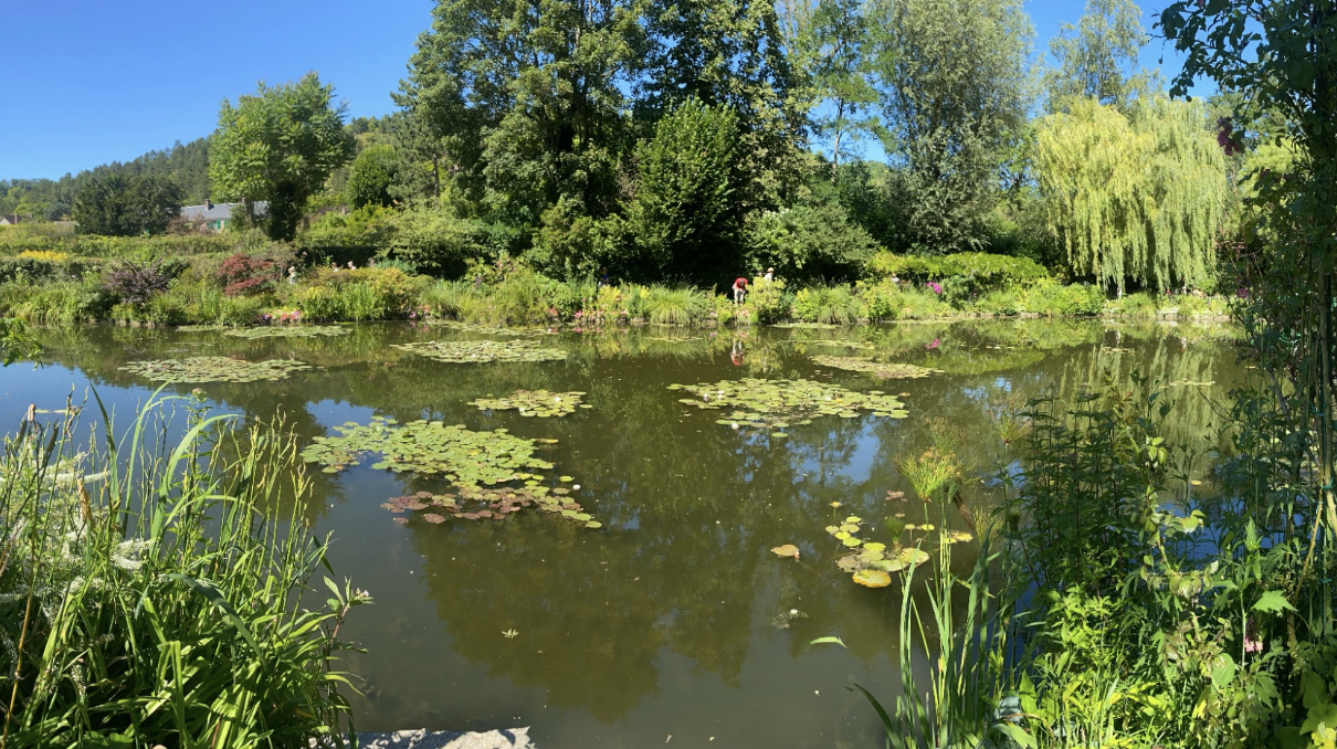 How To Master The Art Of Self-Control ✨