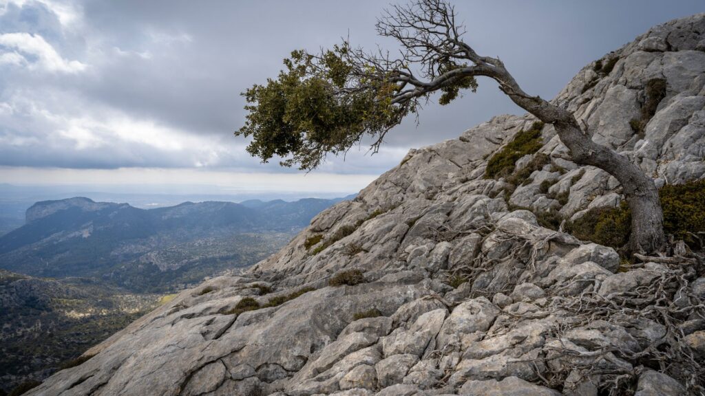 Unlock The Power Within: Discover The Key To Conquering Adversity ✨