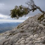 Unlock The Power Within: Discover The Key To Conquering Adversity ✨