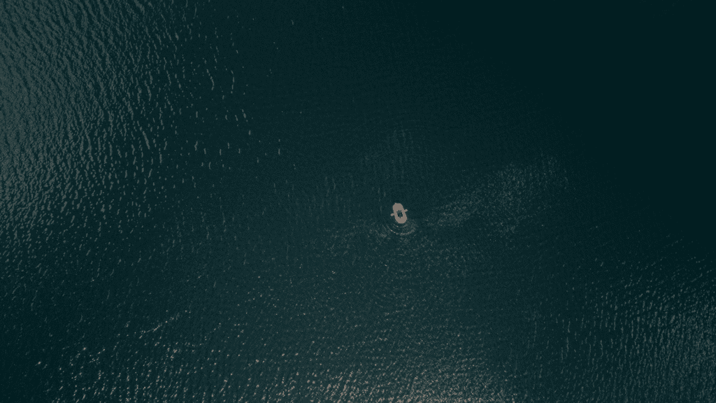 How To Hit the RESET button ?